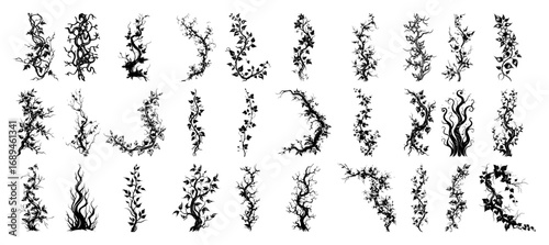 Botanical vine coral and seaweed branch silhouette elements vector collection set