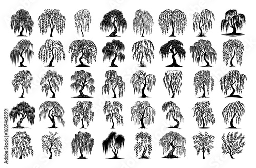 Weeping willow tree silhouettes collection