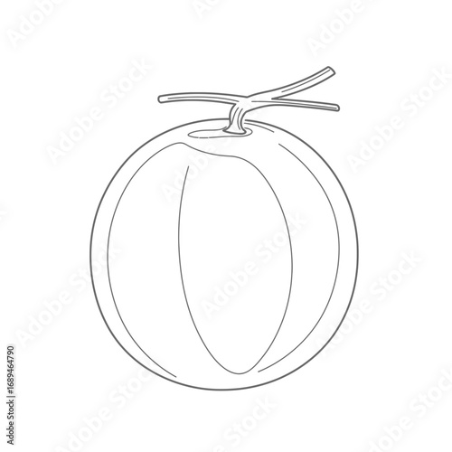 Line Drawing of a Whole Melon with Stem