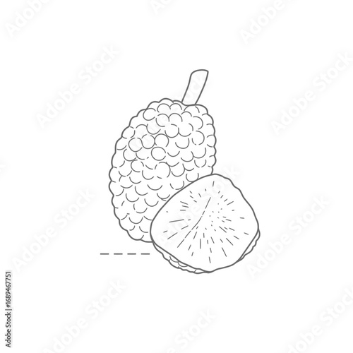 Line Drawing of Tropical Fruit with Cross Section