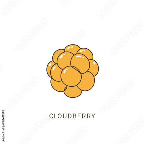 Orange Cloudberry Illustration
