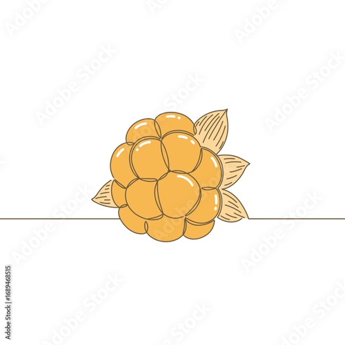 Orange Cloudberry Illustration with Leaves on White Background