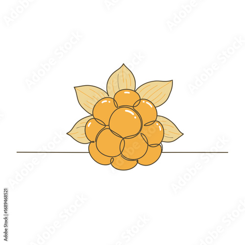 Orange Cloudberry with Yellow Leaves Illustration