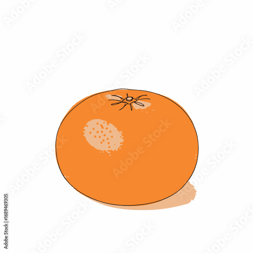 Orange Fruit Illustration on White Background