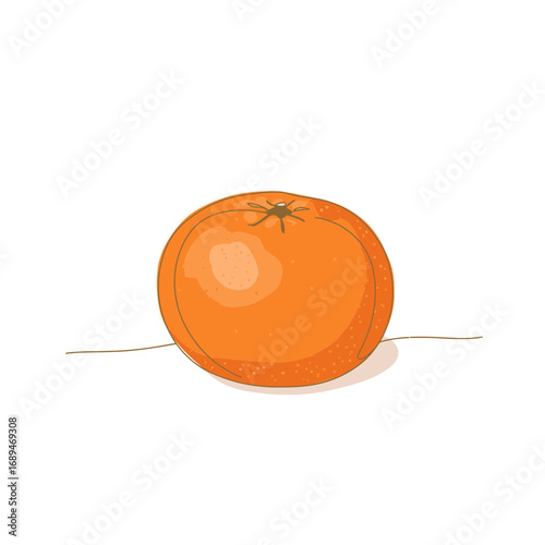 Orange Fruit Illustration on White Background