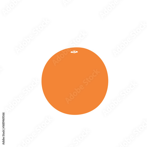 Orange Fruit on White Background
