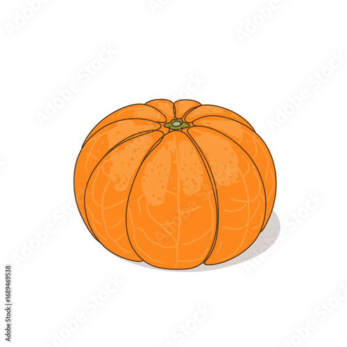 Orange Pumpkin Illustration on White Background