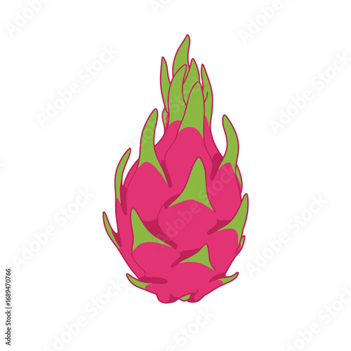 Pink Dragon Fruit Illustration on White Background