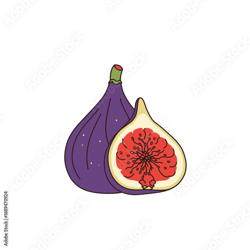 Purple Fig Fruit Illustration with Cross Section