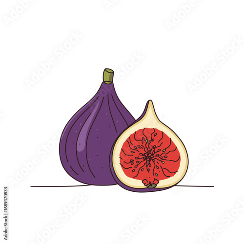 Purple Fig and Halved Fig Illustration