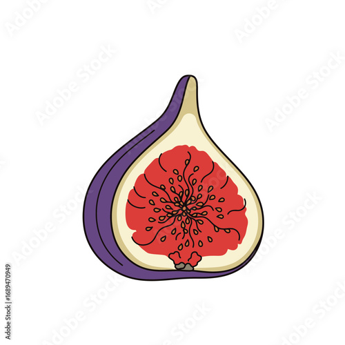 Purple Fig Halved Illustration