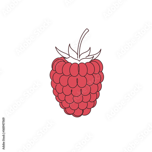 Red Raspberry Illustration on White Background