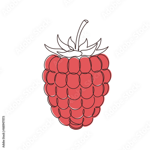 Red Raspberry Illustration Line Art
