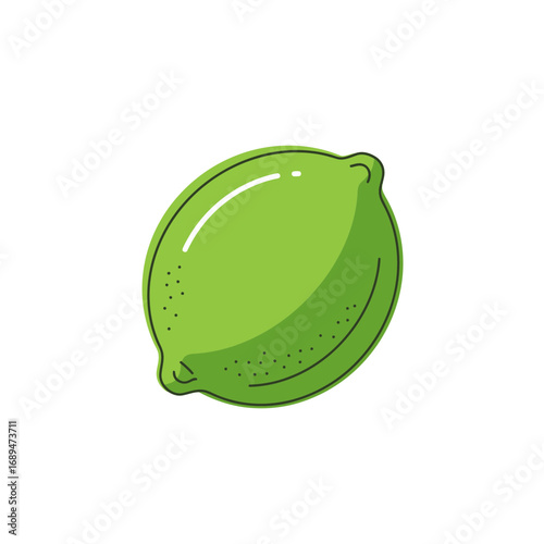 Single Green Lime Illustration