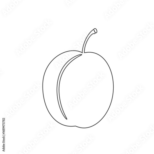 Single Line Drawing of a Plum on White Background