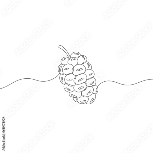 Single Line Drawing of Blackberry on White Background