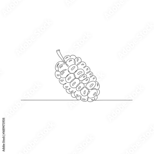 Single Line Drawing of Mulberry on White Background