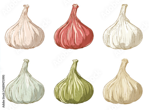 garlic isolated on white background