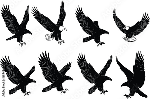 Bald eagle flying silhouette vector set, detailed eagle illustrations, bird of prey clipart collection, wildlife raptor graphic design pack