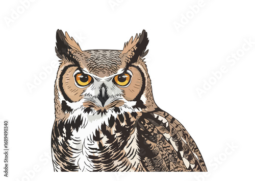 Great horned owl standing with a minimalist background for illustration concept
