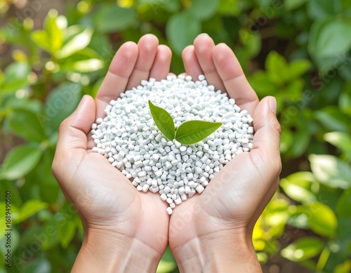Hands holding small white pellets with a sprout
