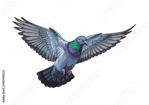 Pigeon perched on a branch with a minimalist background for illustration concept
