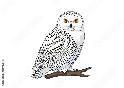 Snowy owl perched on a branch with a minimalist background for illustration concept