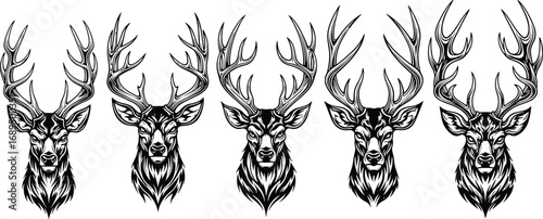 Deer head vector illustration, majestic antlers clipart, hunting design, forest animal art, tattoo style wildlife, vintage tribal silhouette