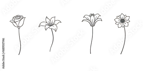 Line art illustration featuring four different floral designs, each with a long, slender stem.