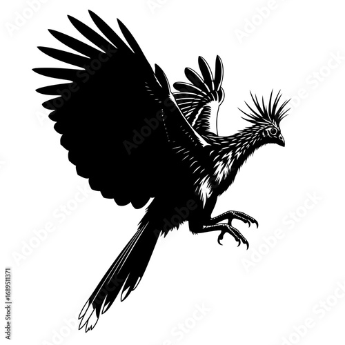 Black silhouette of a bird with spread wings isolated on white background