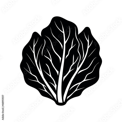 Minimalist graphic illustration of fresh leafy vegetable with intricate vein pattern