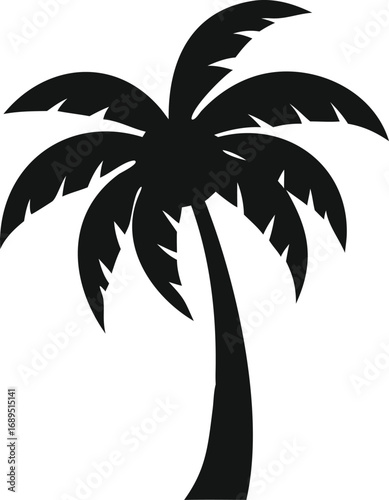 palm tree silhouette