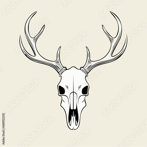 A clean, simple outline vector illustration of a deer skull, presented from a direct front view, emphasizing its majestic antlers and natural, striking form