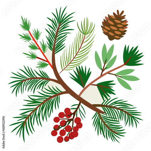Winter forest elements with pine cones and berries