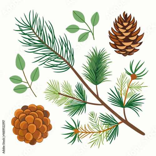 Pine tree branches and cones with green leaves