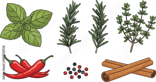 Illustration of basil, rosemary, thyme, chili peppers, peppercorns, and cinnamon sticks isolated on white background