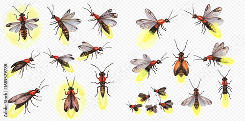 A collection of beautifully illustrated fireflies and lightning bugs in various poses, showcasing their magical bioluminescent glow.