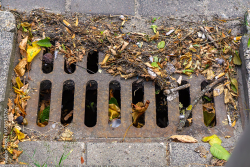 Clogged storm drain with iron grate covered by leaves and branches. Urban infrastructure issue, autumn, drainage problem, road maintenance, rainwater, city environment
