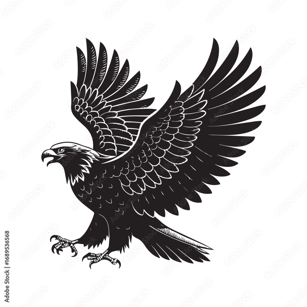 Obraz premium eagle vector silhouette outline sketch logo illustration