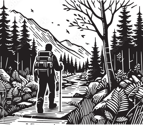 Hiker Treks Along Scenic Mountain Path Beside a Babbling Brook Amidst Tall Evergreen Trees