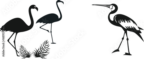 Flamingo and Crane Silhouette Vector Set | Elegant Tropical Bird Graphics with Ferns | Perfect for Wildlife Art, Nature Logos, Ornithology, Decorative Prints & Exotic Animal Themes