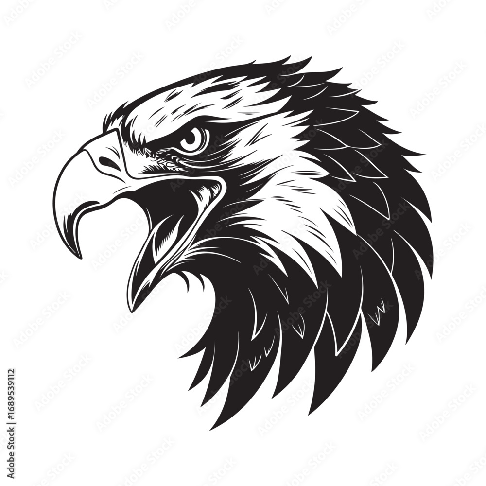 Obraz premium eagle vector silhouette outline sketch logo illustration