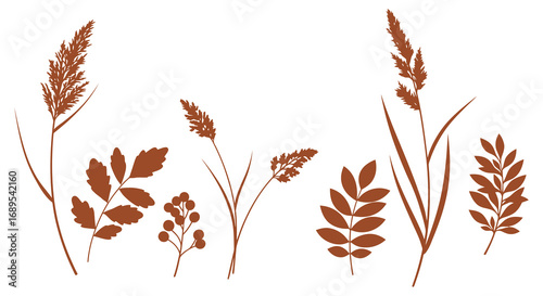 autumn leaves and grasses silhouettes in warm brown tones