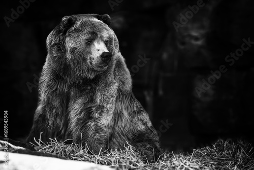 Contemplative Giant