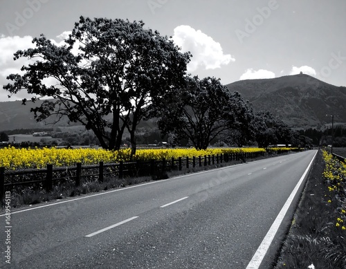 Serene road scene with yellow wildflowers and a mountain in the background; selective colorization