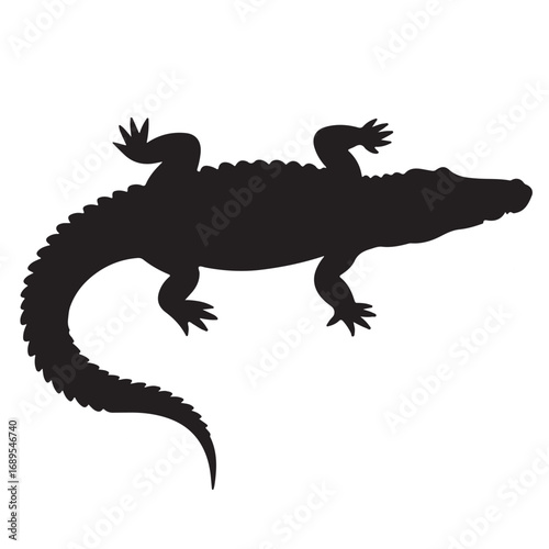 Silhouette of crocodile reptile with long tail top view