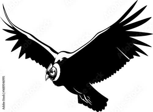 flying condor line art silhouette vector illustration