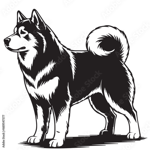 Black and white illustration of husky dog standing side view