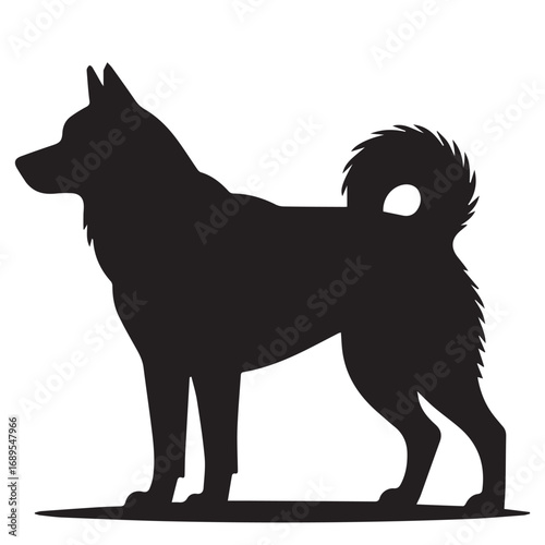 Silhouette of husky dog standing with curled tail side view