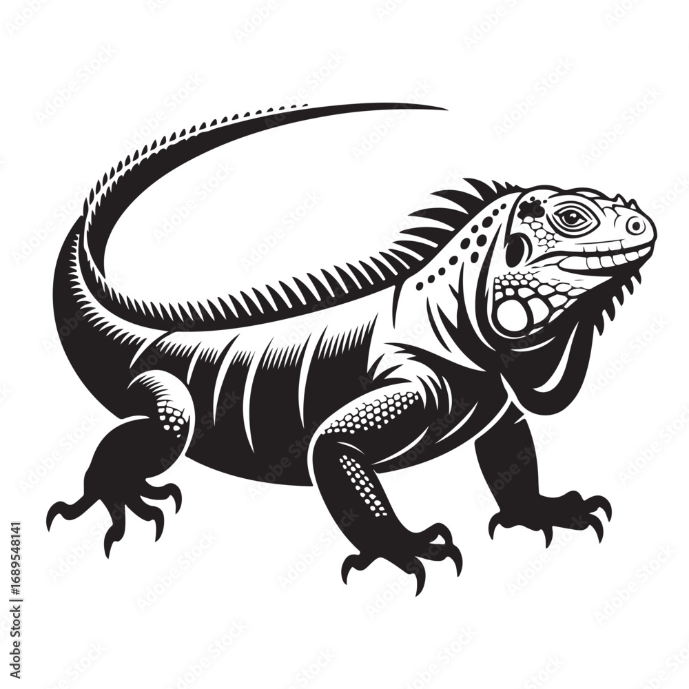 Obraz premium Black and white illustration of iguana lizard reptile with tail